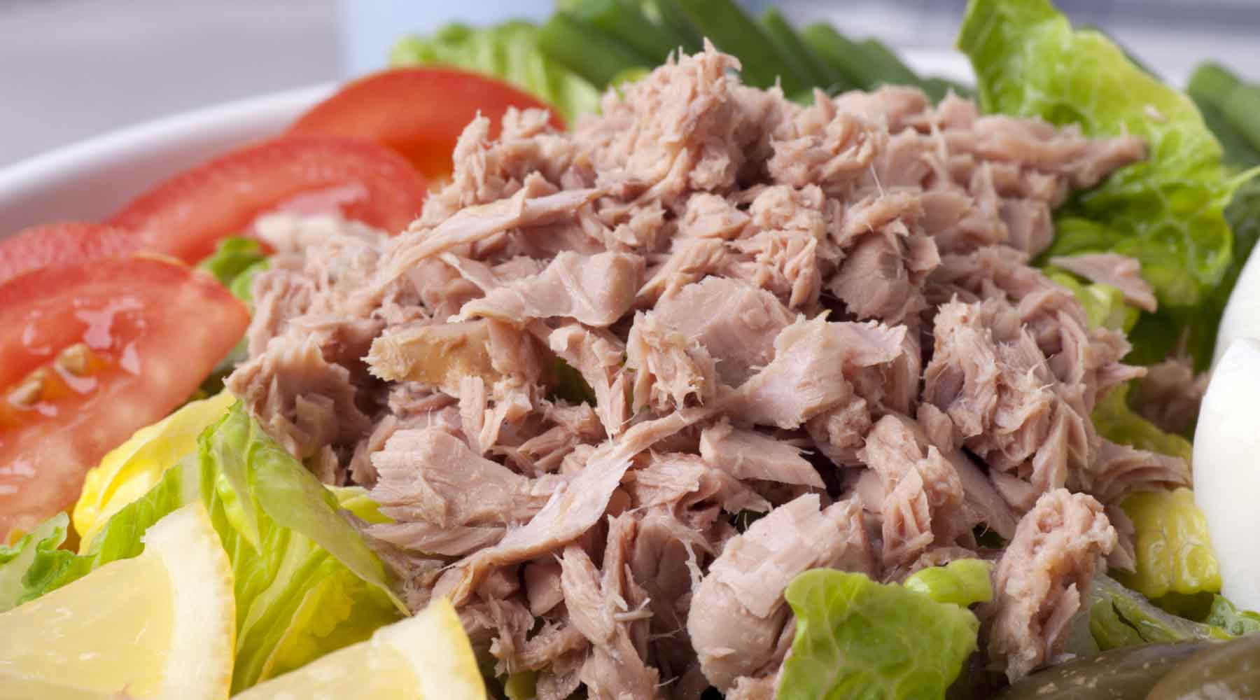 Easy KETO Tuna Salad